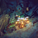 Imagen: Captblack76 / Shutterstock